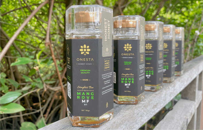 Onesta Gallery 6